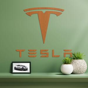 DUBLEZ | Drevený znak auta na stenu - Tesla