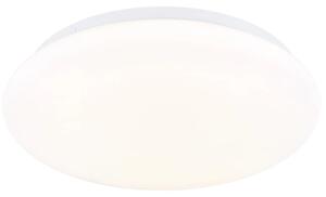 Globo 41548R-12 - LED stropné svietidlo DONTE LED/12W/230V pr. 26 cm