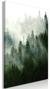 Obraz - Ihličnatý les 40x60