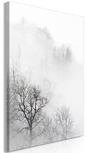Obraz - Stromy v hmle 40x60