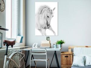 Obraz - Biely kôň 40x60