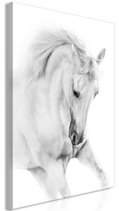 Obraz - Biely kôň 40x60
