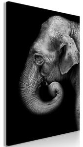 Obraz - Portrét slona 40x60