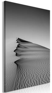 Obraz - Púšť 40x60