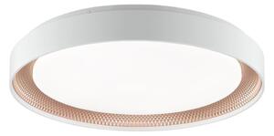 Brilliant - Stmievateľné LED stropné svietidlo WALDO LED/36W/230V biela/ružové zlato + diaľkový ovládač