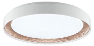 Brilliant - Stmievateľné LED stropné svietidlo WALDO LED/36W/230V biela/ružové zlato + diaľkový ovládač
