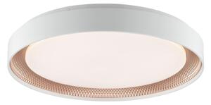 Brilliant - Stmievateľné LED stropné svietidlo WALDO LED/36W/230V biela/ružové zlato + diaľkový ovládač