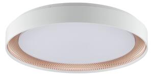 Brilliant - Stmievateľné LED stropné svietidlo WALDO LED/36W/230V biela/ružové zlato + diaľkový ovládač