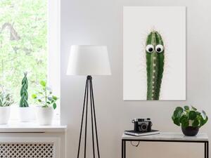 Obraz - Živý kaktus 40x60