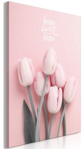 Obraz - Šesť tulipánov 40x60