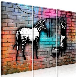 Obraz - Umytá zebra na farebných tehlách 90x60
