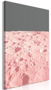 Obraz - Ružový mesiac 40x60
