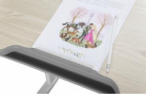 FD Rastúci detský písací stôl so stoličkou Laventa Farba: Sivá