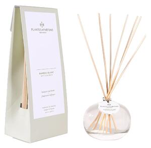 Plantes et Parfums de Provence Bambou Blanc Vonný difuzér, 100 ml