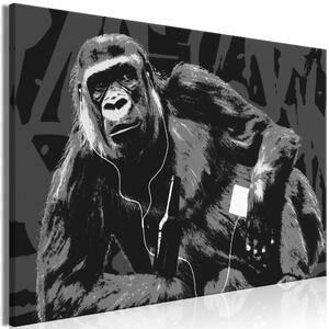 Obraz - Pop-artová opica - sivá 90x60