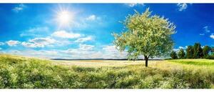 DIMEX | Panoramatická vliesová fototapeta na stenu Strom na lúke MP-2-0096 | 375 x 150 cm | zelená, modrá