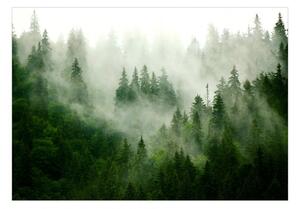 Samolepiaca fototapeta - Horský les (zelená) 147x105