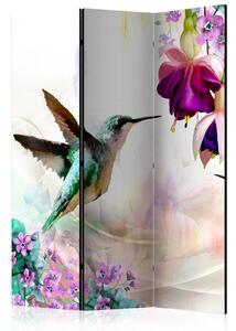 Paraván - Kolibríky a kvety