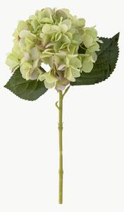 Kvetinová dekorácia Hortensie