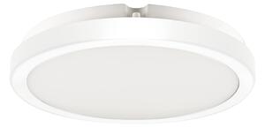 Stropné LED svietidlo Vera, 1x LED 24w, 4000k, w