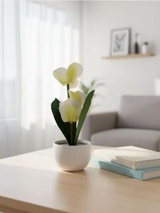 Sinsay - Dekoratívna rastlina v kvetináči – orchidea - krémová