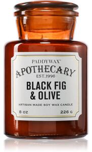 Paddywax Apothecary Fig & Olive vonná sviečka 226 g