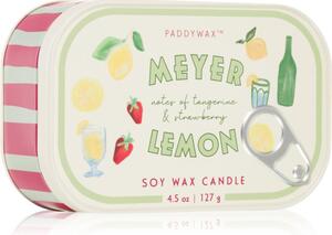 Paddywax Bistro Meyer Lemon vonná sviečka 127 g