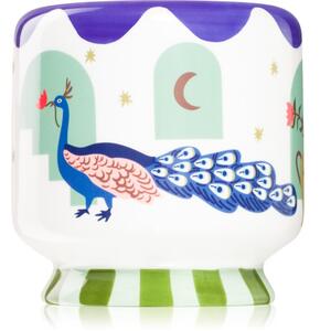 Paddywax A Dopo Peacock Blue vonná sviečka 226 g