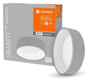 Ledvance Ledvance - LED Stmievateľné stropné svietidlo SMART+ CYLINDER LED/24W/230V Wi-Fi P224619 + záruka 3 roky zadarmo