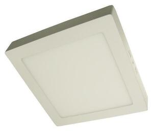 LED Stropné svietidlo GERRY LED/24W/230V 4000K