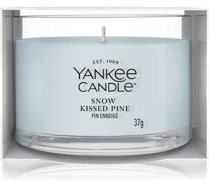 Yankee Candle Snow Kissed Pine votívna sviečka 37 g