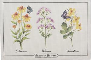 Prestieranie Summer flowers Echinacea, 45 x 30 cm, sada 4 ks