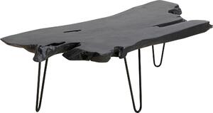 KONFERENČNÝ STOLÍK, čierna, drevo, kov, 100/40/40 cm Ambia Home - Stolíky do obývačky, Online Only