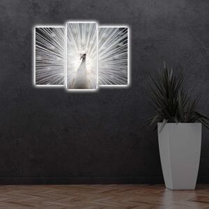 Osvetlený 3-dielny obraz Wallity Peafowl