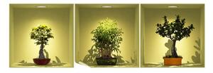 Súprava 3 samolepiek s 3D efektom Ambiance Bonsai Trees On Spot