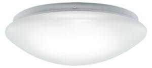 STRÜHM Prisadené stropné svietidlo LEON LED C 12W Neutral White 2780