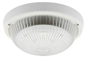 Strühm Stropné svietidlo LOB LED WHITE MV/TS 9295