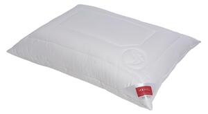VANKÚŠ, 40/60 cm Hefel Textil - Prikrývky & vankúše