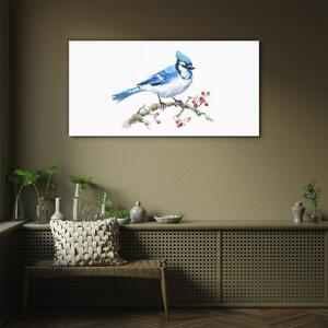 Skleneny obraz Abstrakcia ovocie zvieracie vták