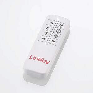 Lindby - Zayd LED Stropné Lampa Dim. Nickel - Lampemesteren