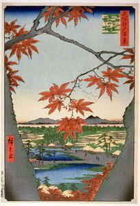 Hiroshige, Ando or Utagawa - Obrazová reprodukcia Maples leaves at Mama, (26.7 x 40 cm)