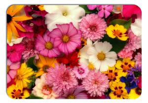 Prestieranie - 272 Kytky, Farebné kvety