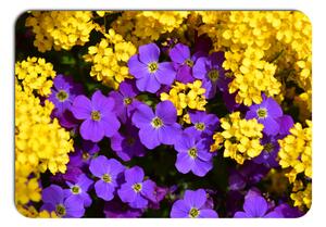 Prestieranie - 275 Kytky, Farebné kvety