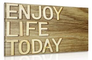 Obraz s citátom - Enjoy life today