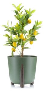 PLASTOVÝ KVETINÁČ MOSS ECO 25X26 CM ZELENÁ