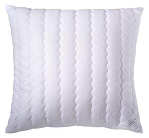 VANKÚŠ POD HLAVU, 80/80 cm Billerbeck - Prikrývky & vankúše, Online Only