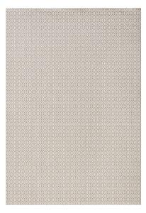 Sivý vonkajší koberec NORTHRUGS Coin, 80 x 150 cm