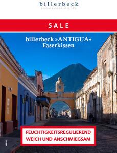 VANKÚŠ POD HLAVU, 40/80 cm Billerbeck - Prikrývky & vankúše, Online Only
