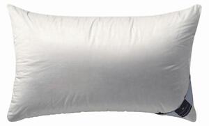 VANKÚŠ POD HLAVU, 40/60 cm Billerbeck - Prikrývky & vankúše, Online Only