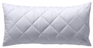 VANKÚŠ POD HLAVU, 40/80 cm Billerbeck - Prikrývky & vankúše, Online Only